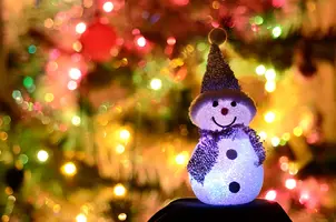 _DSC8308.webp