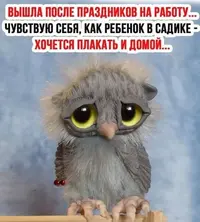 75b949bdcc581dafa6365d5cbbea4150.webp