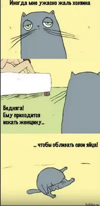 Screenshot_20210103_143614.webp