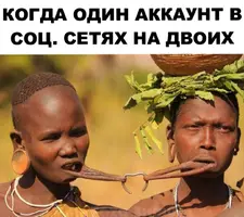 1TKFeLcEt2E.webp