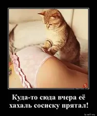 bp.webp