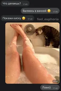 z9nLIXXA3Bw.webp