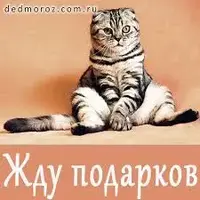 images (29).webp