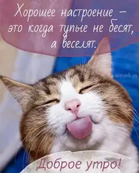 d4aa0877c1302a3ad4ac40795aae3d58.webp