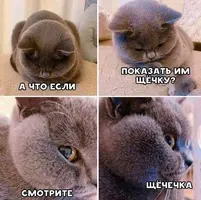 cb7394c7796a4b0f7777715c150f4171.webp