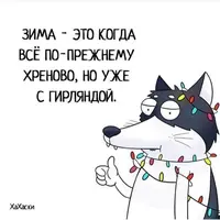 9747eabc69012700efb48221acf86ba9.webp
