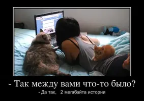 1320942786_1320651809_demotivatory_15.webp