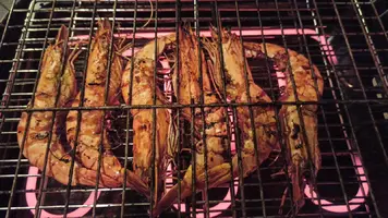 IMG-20210113-WA0010.webp