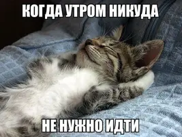 ad6440c0a126e3f51bee78ba598bdb1c.webp