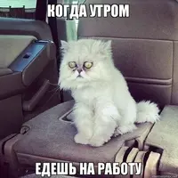 unnamed.webp