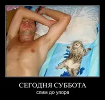 i (1).webp