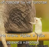 IMG-527bbb48af4d23bfb152b96c8a5ee8f8-V.webp