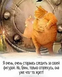 31af901e9768132bb24883a315fd71d8.webp