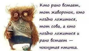 Без названия.webp