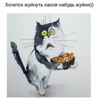 17b594aa2ed7a331987b9ad3f3fe409a.webp