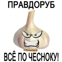unnamed (1).webp