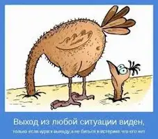 images (32).webp