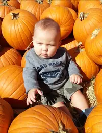 upload_2021_01_21_10_11_26_881.webp