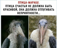 1611064753125189709.webp