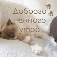 3c0355cce484caa31439ccc9b3d830eb.webp
