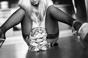 1RrlerjLoPQ1yUj68IJCp5nmxFR2G6sVz0oseR50..webp