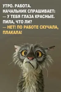 bef20ac2fa6db391453eb905be920d4a (1).webp