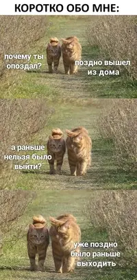 ZlZqxbfF5Ek.webp