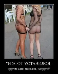 (8).webp