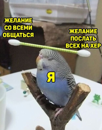 4EDC9308-BD69-4C3A-86E0-D996A2A3F850.webp