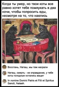 FC5241FD-A9D3-4620-8B6D-CC57E40C359D.webp