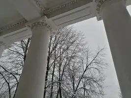 IMG-20210131-WA0007.webp