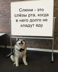 1612005134186478641.webp
