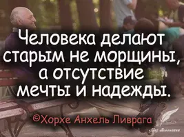 50784567.webp