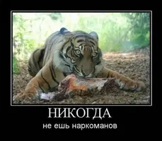 Smeshnye-kartinki-s-nadpisyami-pro-zhivotnyh-1.webp