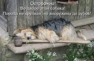 1249433791_2g-e1388270730117-1-640x420.webp