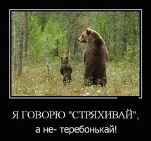 383406e56702c32ab0aaba4ea02ec379.webp