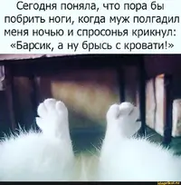IMG-5079729123f4e03ea60ebb38a69f360b-V.webp