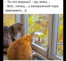 20210203_150036.webp