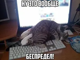 (9).webp
