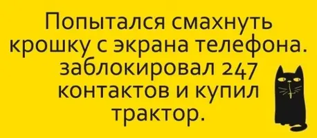 (7).webp