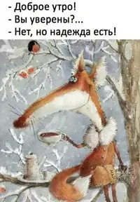 d966496c080697dc0c663d2fd6794999.webp