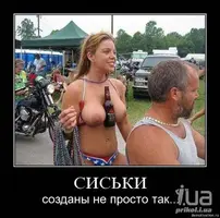 569164.webp