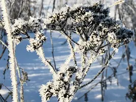 B297249B-BDA8-410C-9DBC-224234229CE6.webp