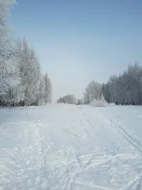 tmp-cam--930032342.webp