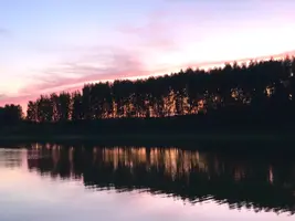 3F12B085-7D5A-42AD-8960-BA090FB46D07.webp
