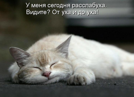 Расслабуха.webp
