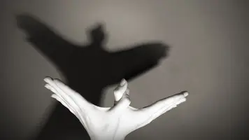 ShadowPuppet.webp