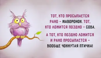 0_1124d7_740b473d_orig.webp