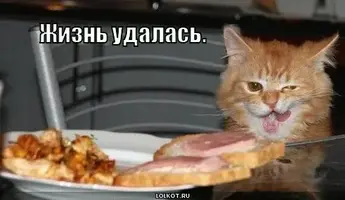 zhizn-udalas_1285849485.webp