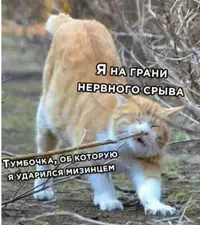 QHx9BmcxsJ4.webp